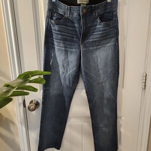 Democracy Straight Leg Jeans Size 8 "Ab" Technology